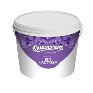 queso crema industrial sin lactosa